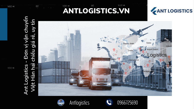 Ant Logistics - Đơn vị vận chuyển Việt Hàn hai chiều giá rẻ, uy tín