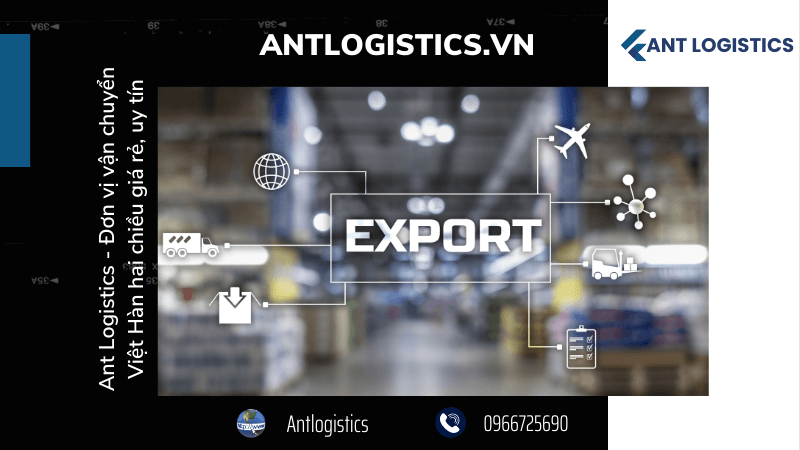 Ant Logistics - Đơn vị vận chuyển Việt Hàn hai chiều giá rẻ, uy tín