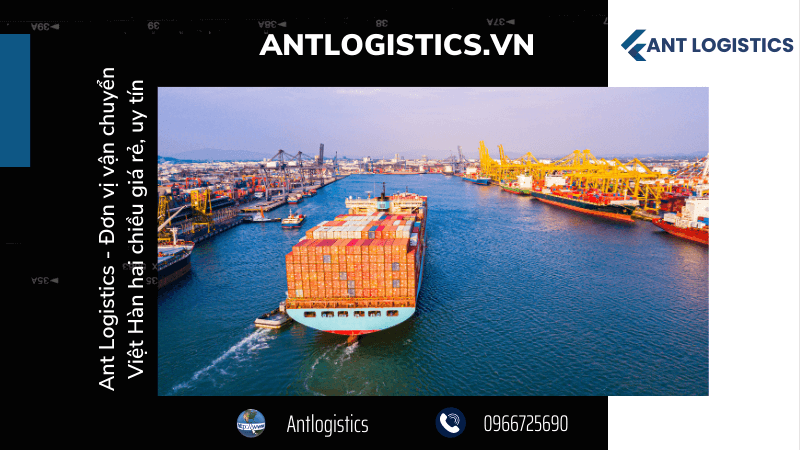 Ant Logistics - Đơn vị vận chuyển Việt Hàn hai chiều giá rẻ, uy tín
