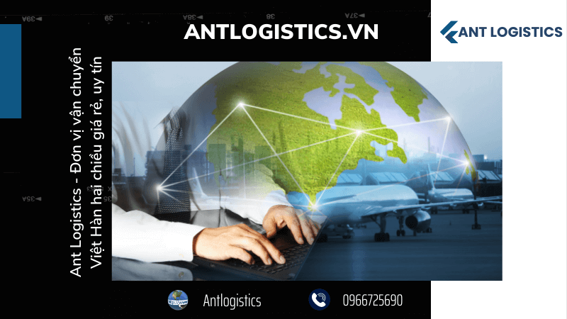 Ant Logistics - Đơn vị vận chuyển Việt Hàn hai chiều giá rẻ, uy tín