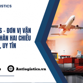 Ant Logistics - Đơn vị vận chuyển Việt Hàn hai chiều giá rẻ, uy tín