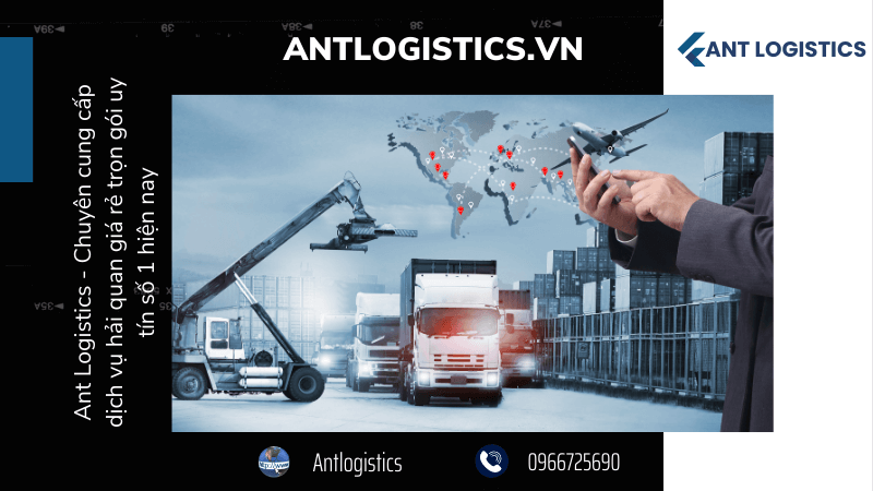 Ant Logistics - Chuyên cung cấp dịch vụ hải quan giá rẻ trọn gói uy tín số 1 hiện nay
