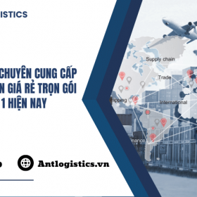 Ant Logistics - Chuyên cung cấp dịch vụ hải quan giá rẻ trọn gói uy tín số 1 hiện nay