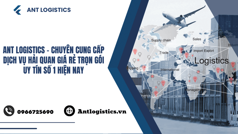 Ant Logistics - Chuyên cung cấp dịch vụ hải quan giá rẻ trọn gói uy tín số 1 hiện nay