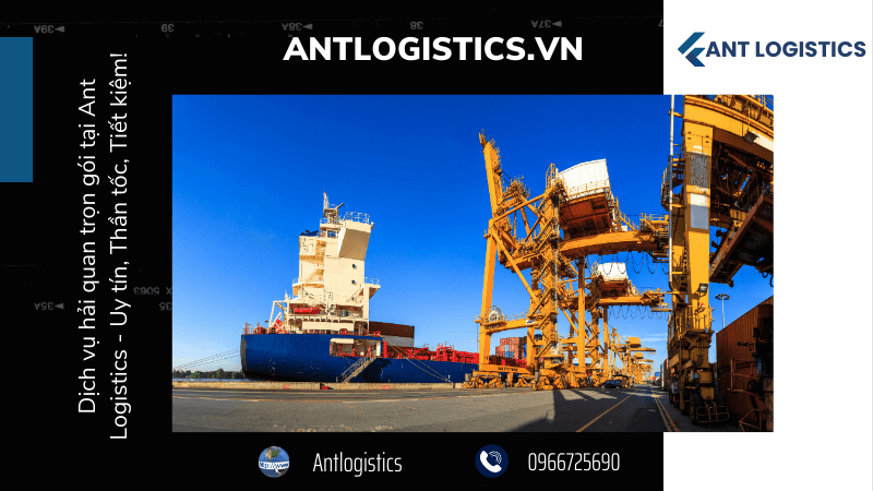 Dịch vụ hải quan trọn gói tại Ant Logistics - Uy tín, Thần tốc, Tiết kiệm!