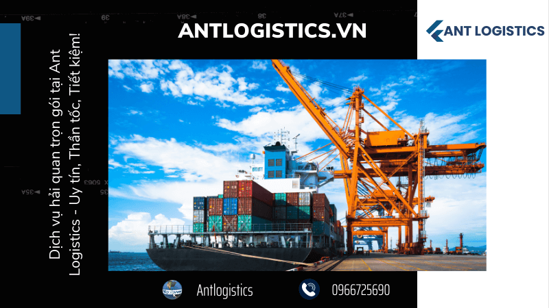 Dịch vụ hải quan trọn gói tại Ant Logistics - Uy tín, Thần tốc, Tiết kiệm!