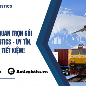Dịch vụ hải quan trọn gói tại Ant Logistics - Uy tín, Thần tốc, Tiết kiệm!