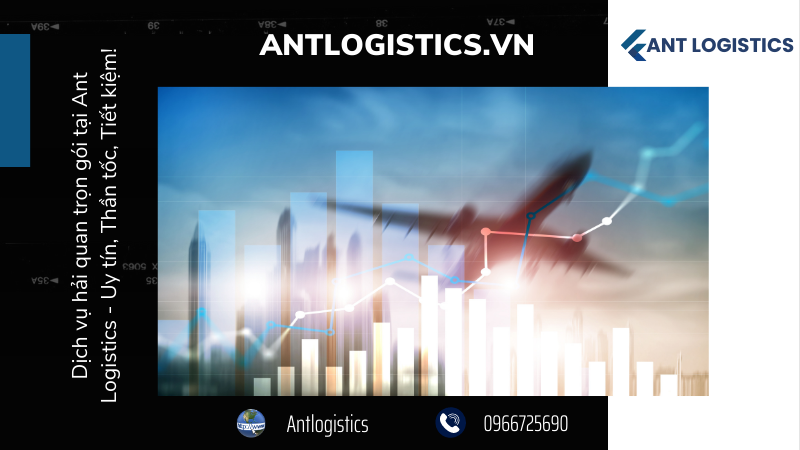 Dịch vụ hải quan trọn gói tại Ant Logistics - Uy tín, Thần tốc, Tiết kiệm!