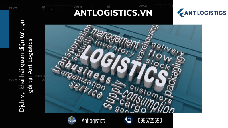 Dịch vụ khai hải quan điện tử trọn gói tại Ant Logistics 