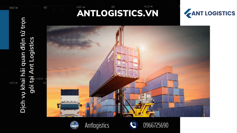 Dịch vụ khai hải quan điện tử trọn gói tại Ant Logistics 