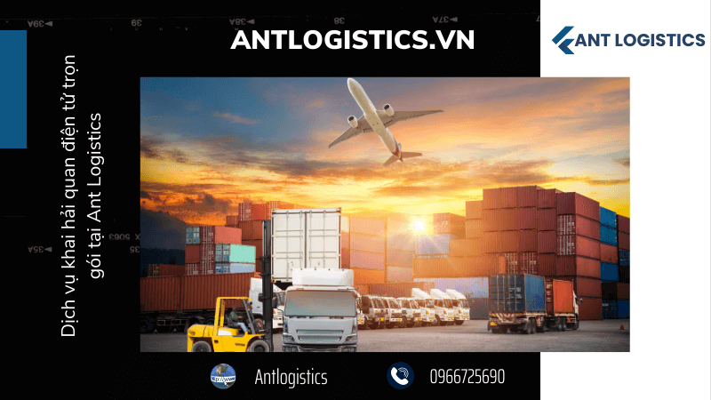 Dịch vụ khai hải quan điện tử trọn gói tại Ant Logistics 