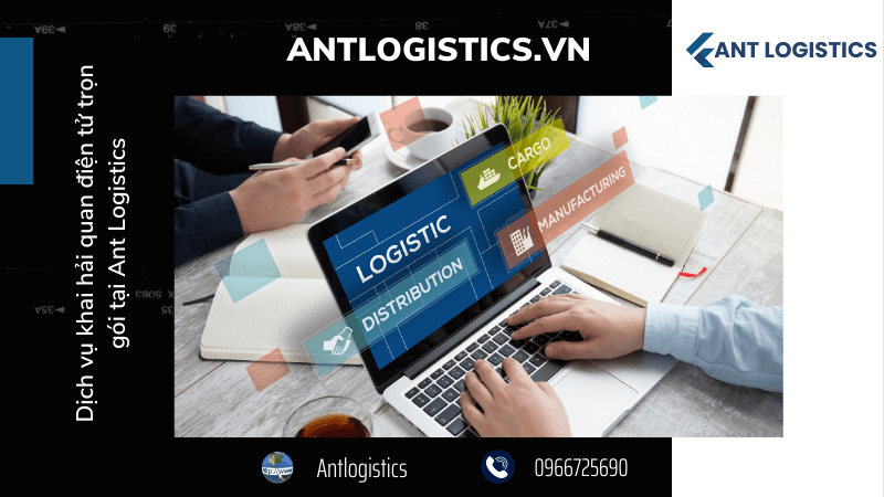 Dịch vụ khai hải quan điện tử trọn gói tại Ant Logistics 