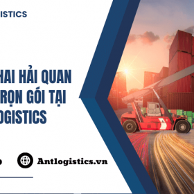 Dịch vụ khai hải quan điện tử trọn gói tại Ant Logistics