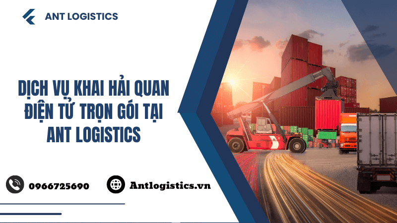 Dịch vụ khai hải quan điện tử trọn gói tại Ant Logistics