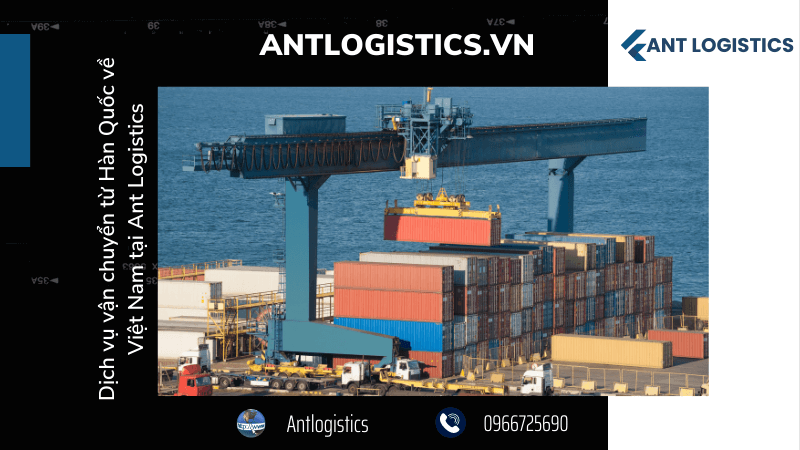 Quy trình dịch vụ vận chuyển hàng hoá từ Hàn Quốc về Việt Nam tại Ant Logistics
