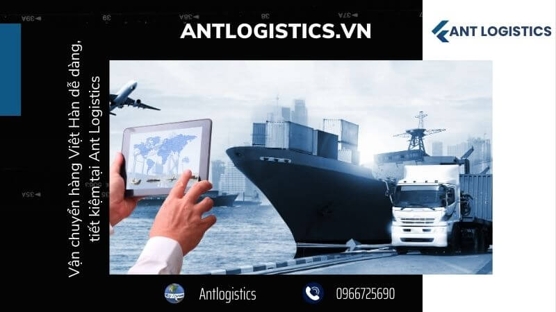 Vận chuyển hàng Việt Hàn dễ dàng, tiết kiệm tại Ant Logistics