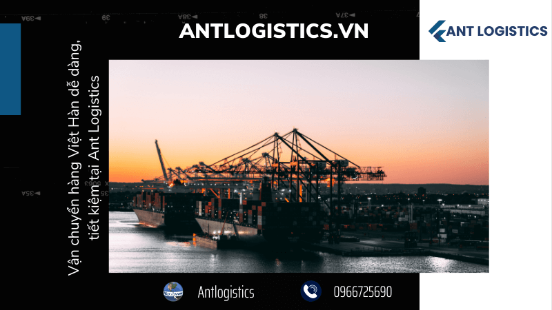 Vận chuyển hàng Việt Hàn dễ dàng, tiết kiệm tại Ant Logistics