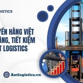 Vận chuyển hàng Việt Hàn dễ dàng, tiết kiệm tại Ant Logistics