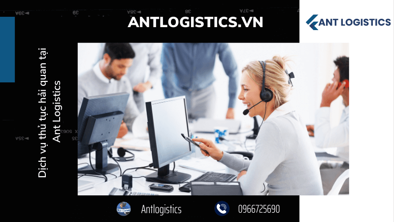 Dịch vụ thủ tục hải quan tại Ant Logistics 