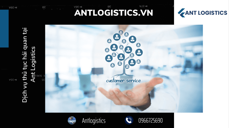Dịch vụ thủ tục hải quan tại Ant Logistics 