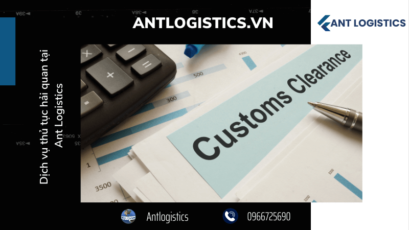 Dịch vụ thủ tục hải quan tại Ant Logistics 
