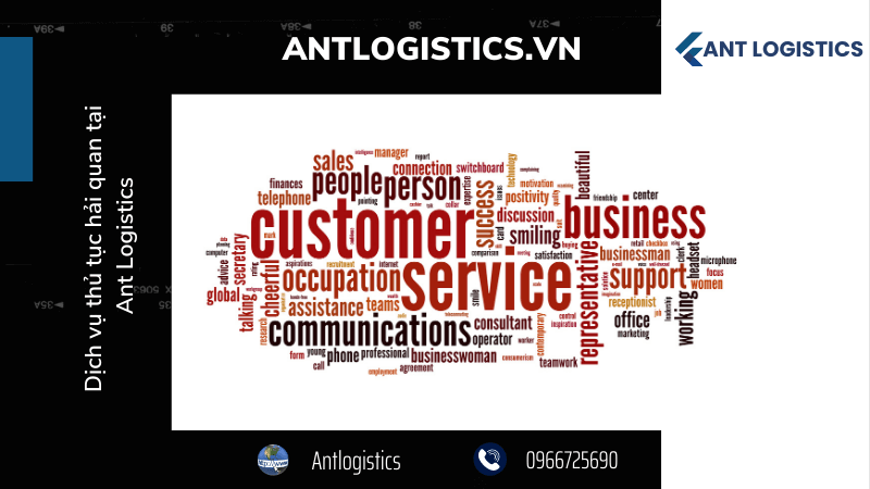 Dịch vụ thủ tục hải quan tại Ant Logistics 