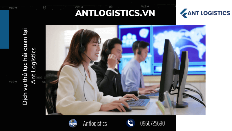Dịch vụ thủ tục hải quan tại Ant Logistics