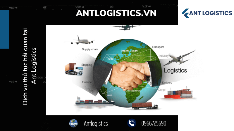 Dịch vụ thủ tục hải quan tại Ant Logistics