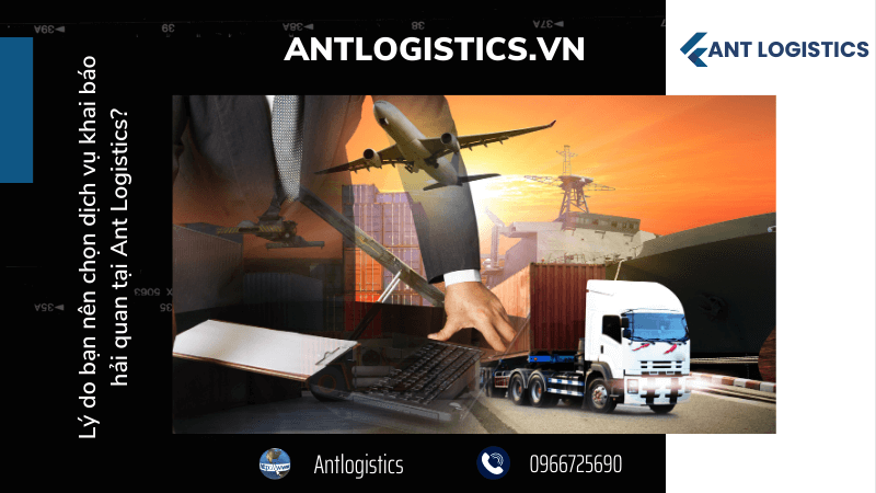 Lý do bạn nên chọn dịch vụ khai báo hải quan tại Ant Logistics 