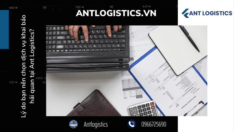 Lý do bạn nên chọn dịch vụ khai báo hải quan tại Ant Logistics 