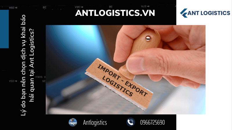 Lý do bạn nên chọn dịch vụ khai báo hải quan tại Ant Logistics 