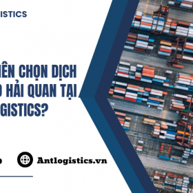 Lý do bạn nên chọn dịch vụ khai báo hải quan tại Ant Logistics
