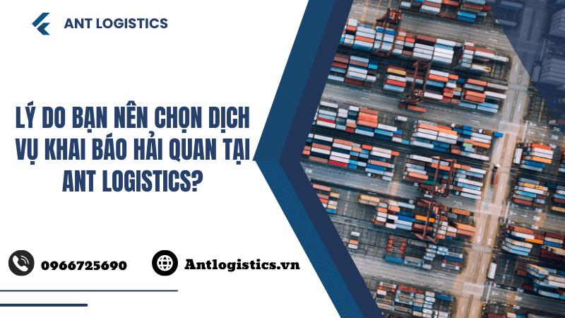 Lý do bạn nên chọn dịch vụ khai báo hải quan tại Ant Logistics