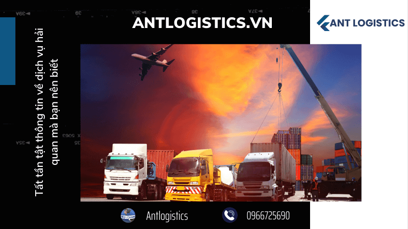 Tất tần tật thông tin về dịch vụ hải quan mà bạn nên biết