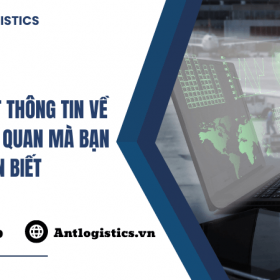 Tất tần tật thông tin về dịch vụ hải quan mà bạn nên biết