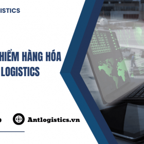 Dịch vụ bảo hiểm hàng hóa tại Ant Logistics