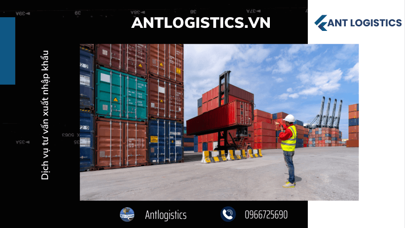 Dịch vụ tư vấn xuất nhập khẩu