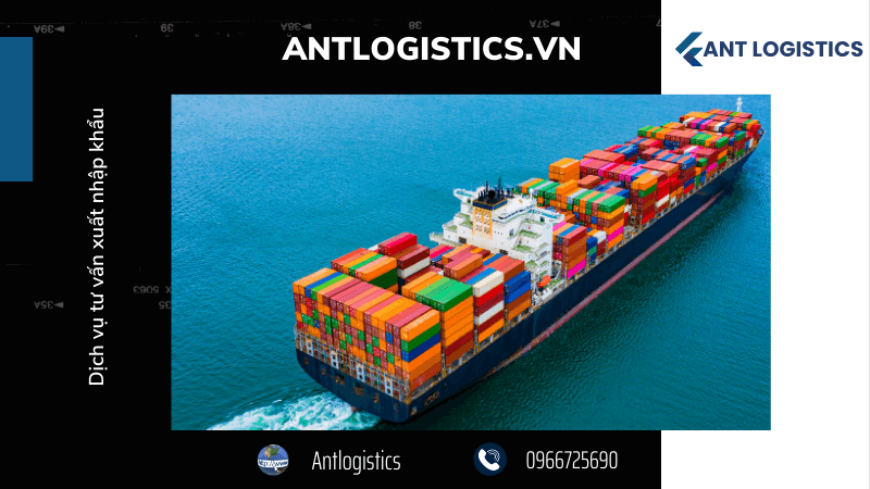 Dịch vụ tư vấn xuất nhập khẩu