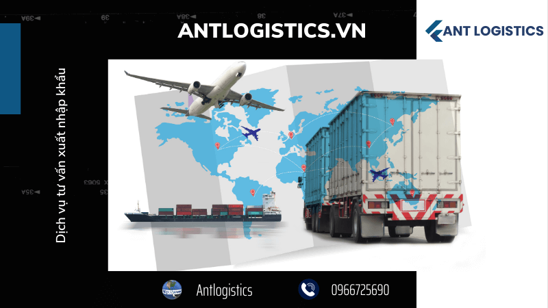 Tại sao nên sử dụng dịch vụ của Ant Logistics?