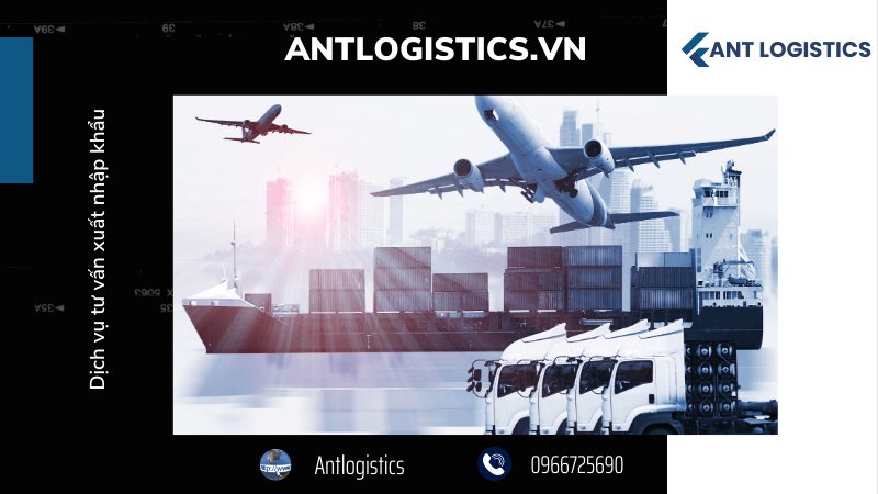 Dịch vụ tư vấn xuất nhập khẩu