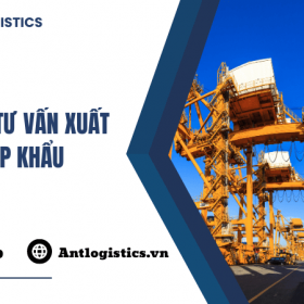 Dịch vụ tư vấn xuất nhập khẩu