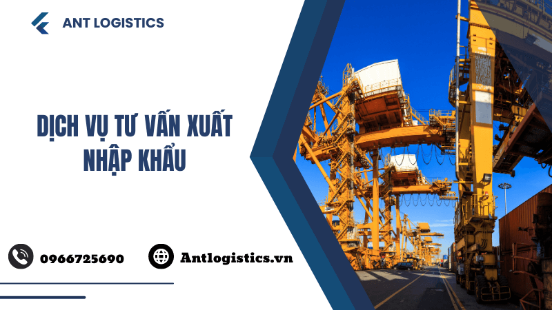 Dịch vụ tư vấn xuất nhập khẩu