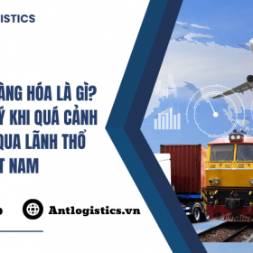 Quá cảnh hàng hóa là gì? Những lưu ý khi quá cảnh hàng hóa qua lãnh thổ Việt Nam