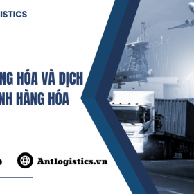 Quá cảnh hàng hóa và dịch vụ quá cảnh hàng hóa