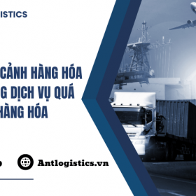 Thủ tục quá cảnh hàng hóa và hợp đồng dịch vụ quá cảnh hàng hóa