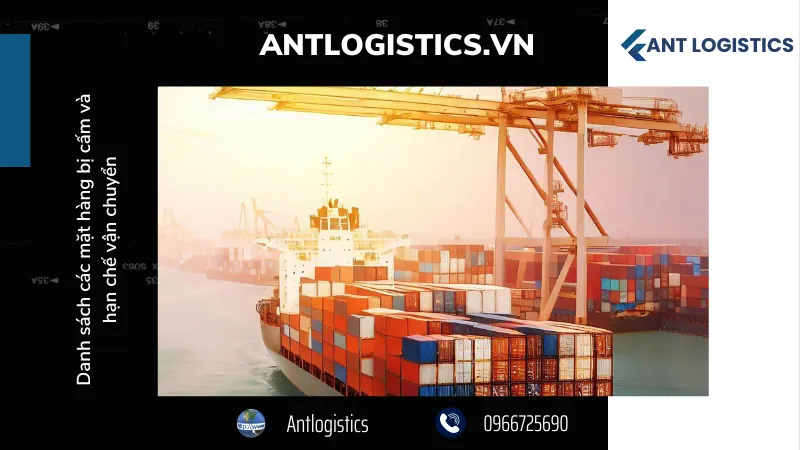 Vấn đề hàng hoá vận chuyển xuyên biên giới