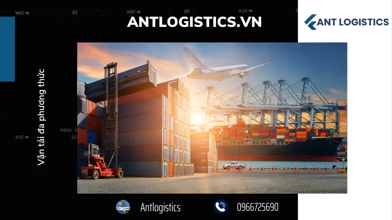 Quy định của Việt Nam 