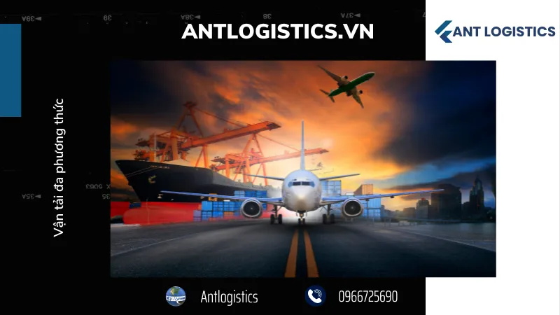 Quy định của Việt Nam 