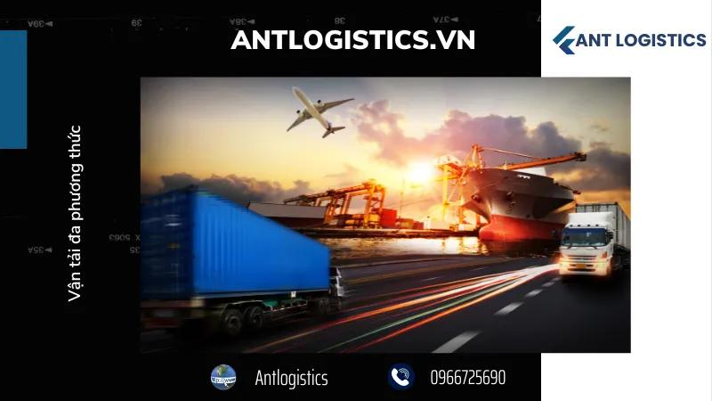 Quy định của Việt Nam 