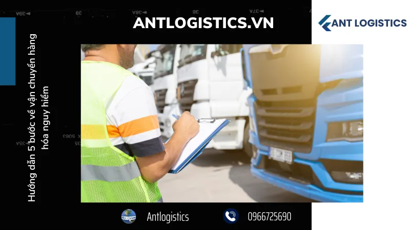 Phân loại và khai báo lô hàng chính xác